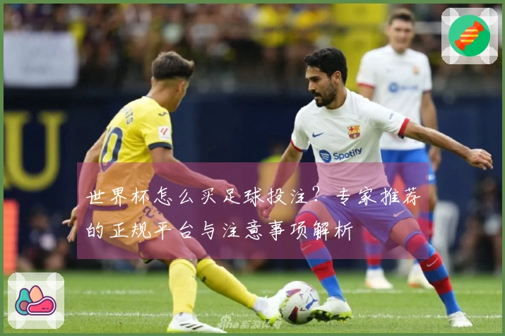 世界杯怎么买足球投注？专家推荐的正规平台与注意事项解析