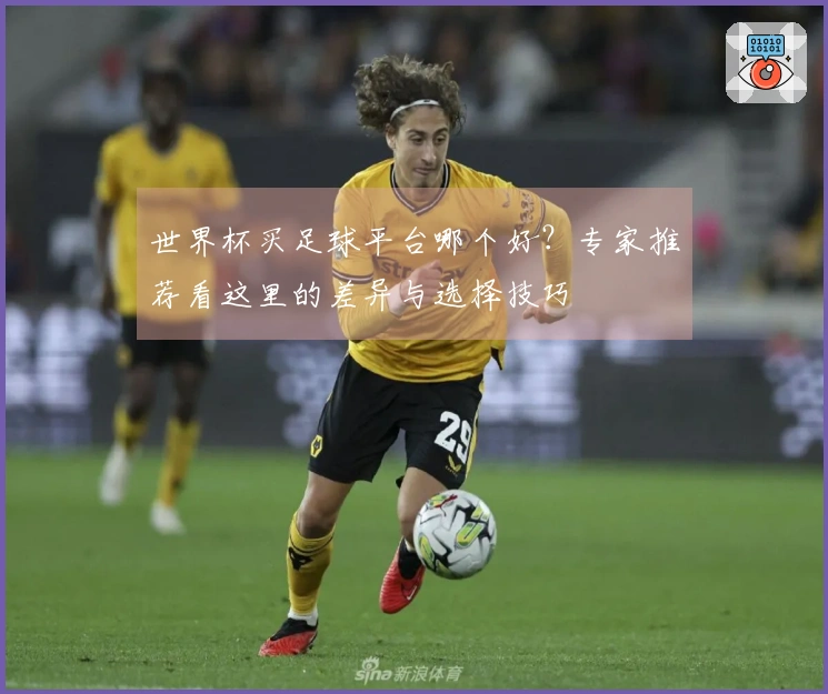 世界杯买足球平台哪个好？专家推荐看这里的差异与选择技巧