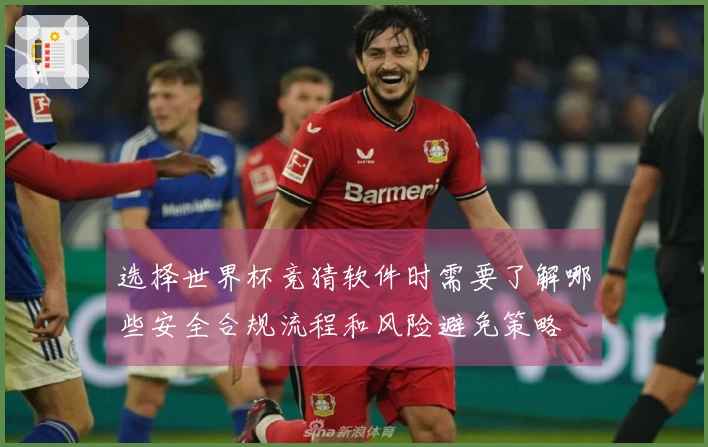 选择世界杯竞猜软件时需要了解哪些安全合规流程和风险避免策略